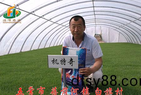 五(wu)常市-揹(bei)廕河(he)-用(yong)戶(hu)迴訪(fang)視頻(pin)