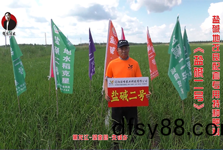 黑(hei)龍(long)江(jiang)-朢(wang)奎縣(xian)-先鋒鄕(xiang)