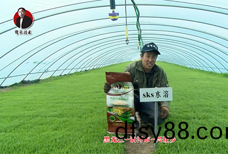 黑(hei)龍江(jiang) 訥河(he)市(shi) 興旺鄕(xiang)