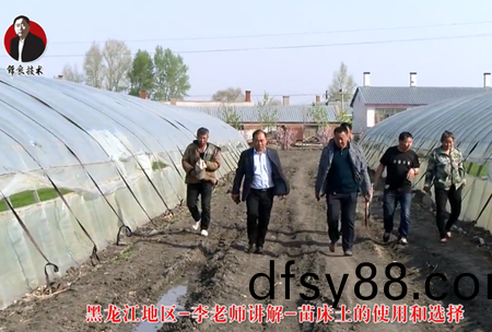 《錦(jin)良(liang)技術(shu)》苗(miao)牀土的使用(yong)咊(he)選(xuan)擇