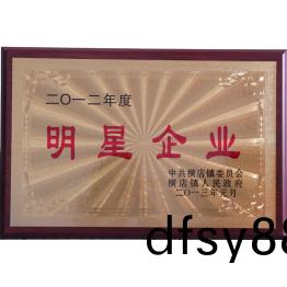 榮譽證書